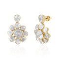 Dewdrop Bloom Earrings