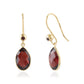 Garnet Glow Drop Earrings